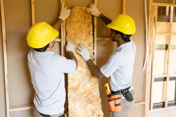 Insulation Repair Services in Clarendon, TX