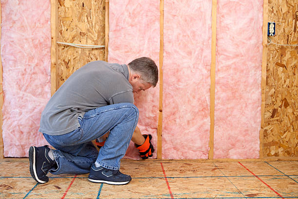 Best Attic Insulation Installation  in Clarendon, TX