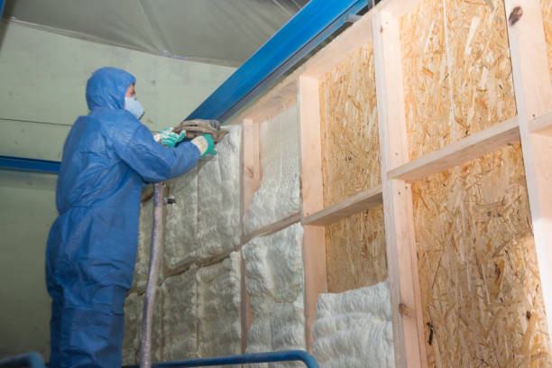 Best Local Insulation Services  in Clarendon, TX