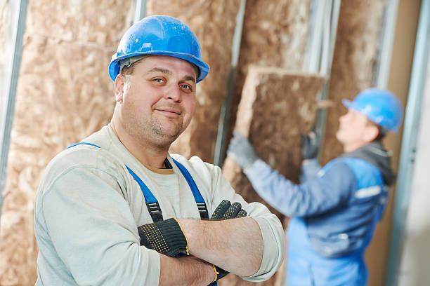 Best Cellulose Insulation  in Clarendon, TX