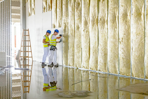 Best Affordable Insulation Services  in Clarendon, TX